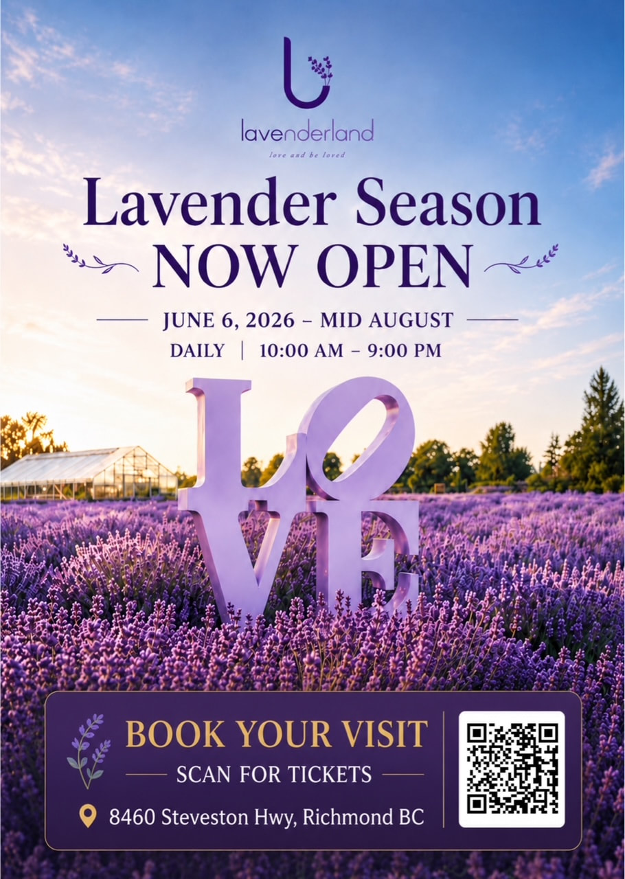 Lavenderland